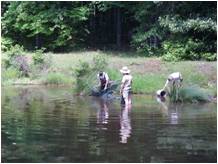 AU students sampling estuary for bass