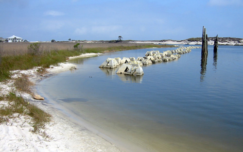 Dauphin Island marsh