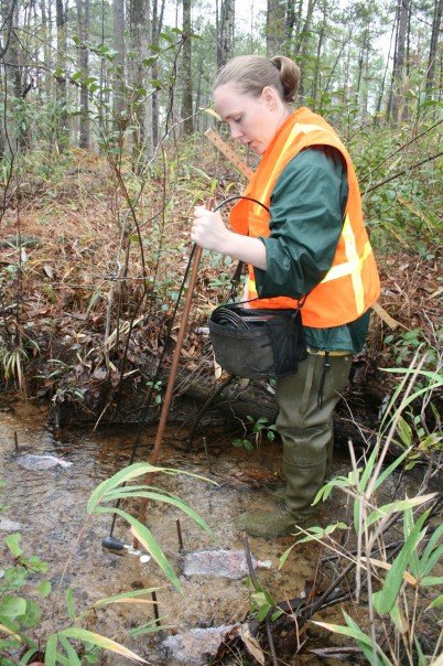 AU student stream sampling