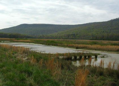 Crow Creek mitigation bank - Federal Highway Administration