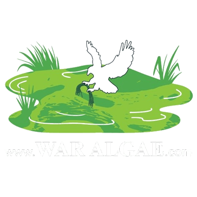 War Algae Logo